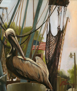 Pelican of Charleston